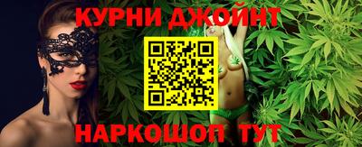 a pvp Кингисепп