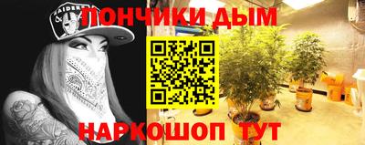 a pvp Кингисепп