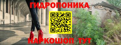 a pvp Кингисепп