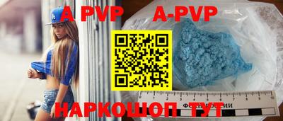 a pvp Кингисепп